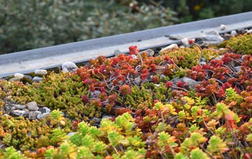 the cost of Llwyn Derw green roof installation