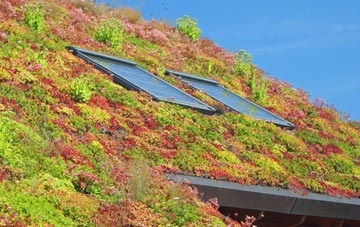 Llwyn Derw living roof systems