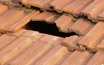 roof repair Llwyn Derw, Powys
